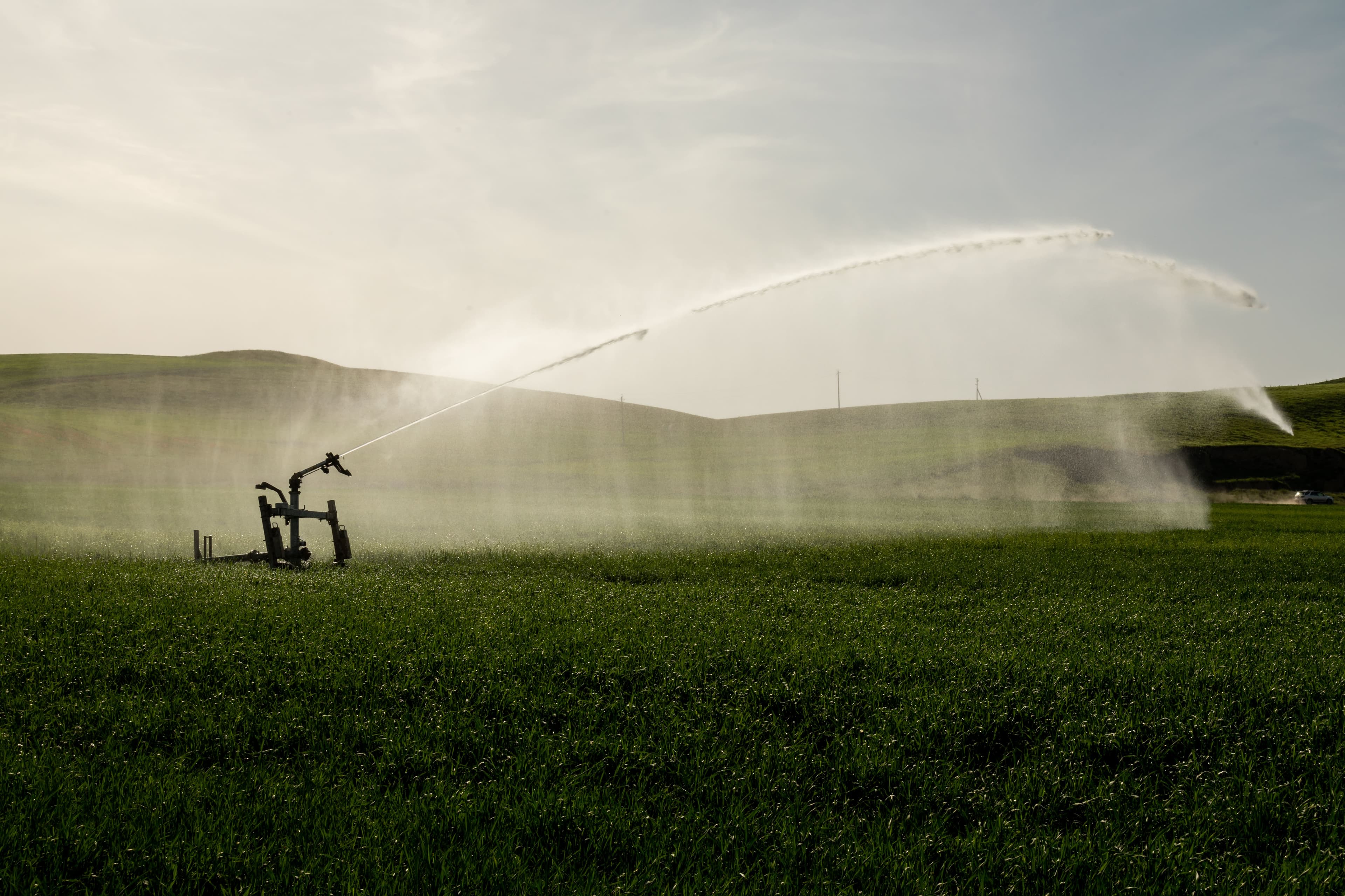Irrigation